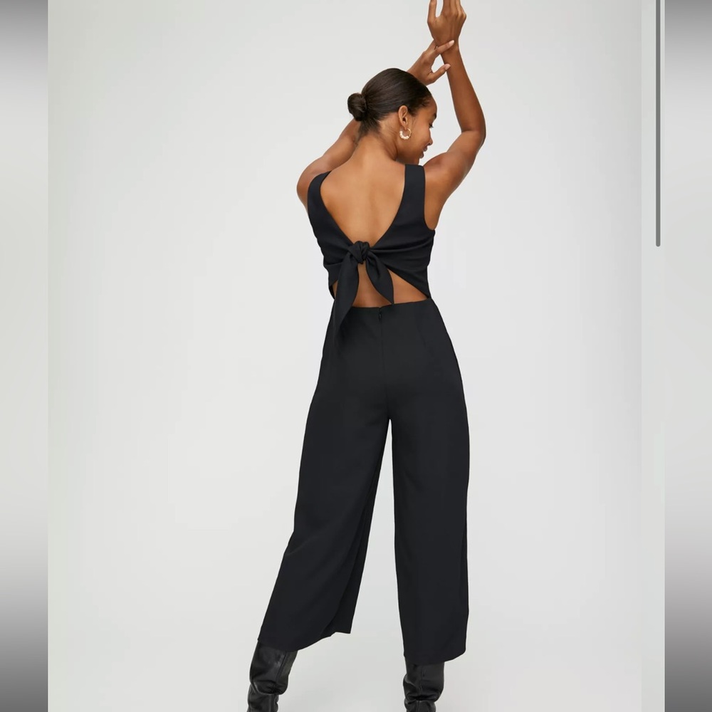 Aritzia Wilfred Ecoulement Jumpsuit